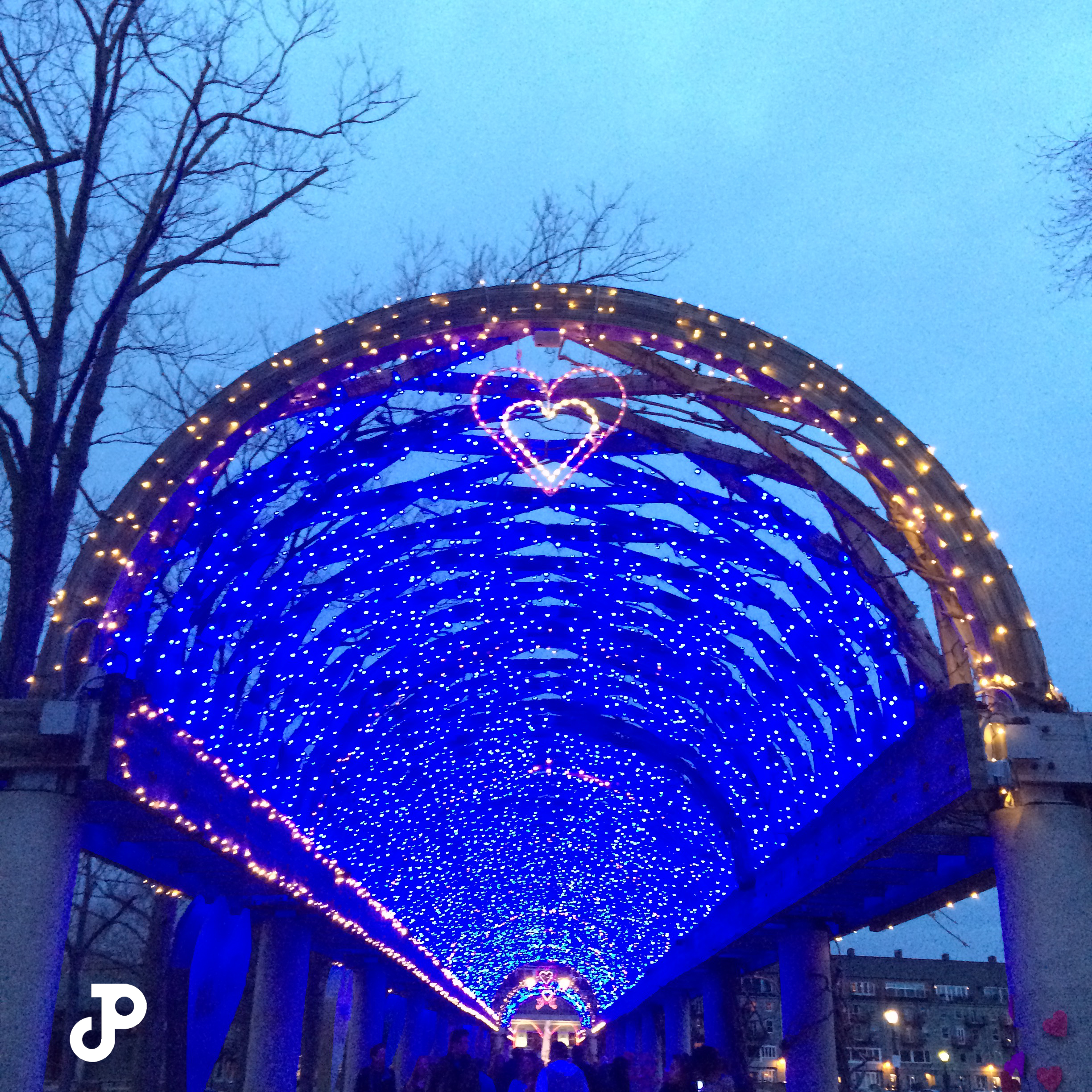 a wooden archway decorated with thousands of bright blue fairy lights in Columbus Park