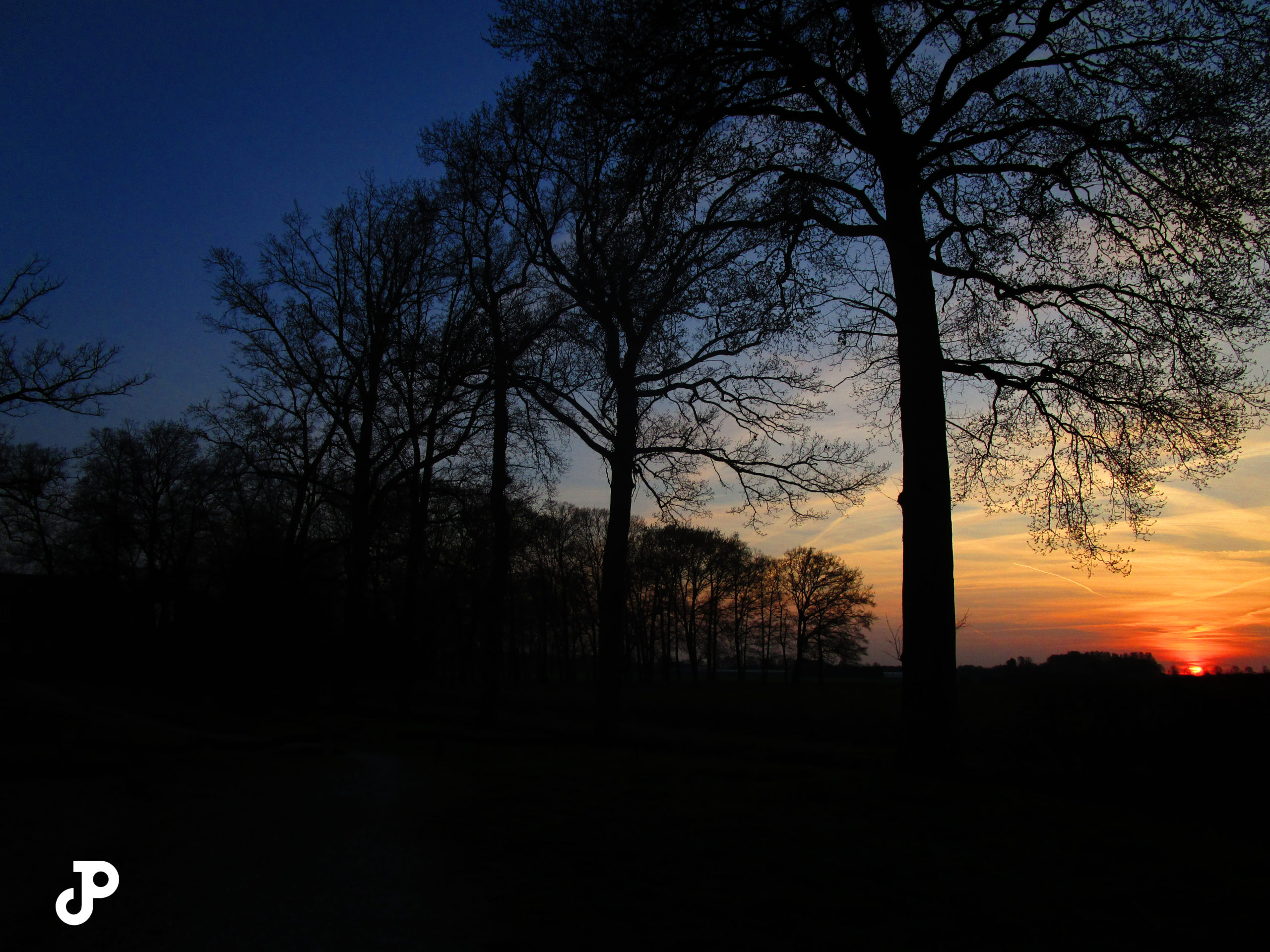 a vibrant orange sunset behind silhouetted trees