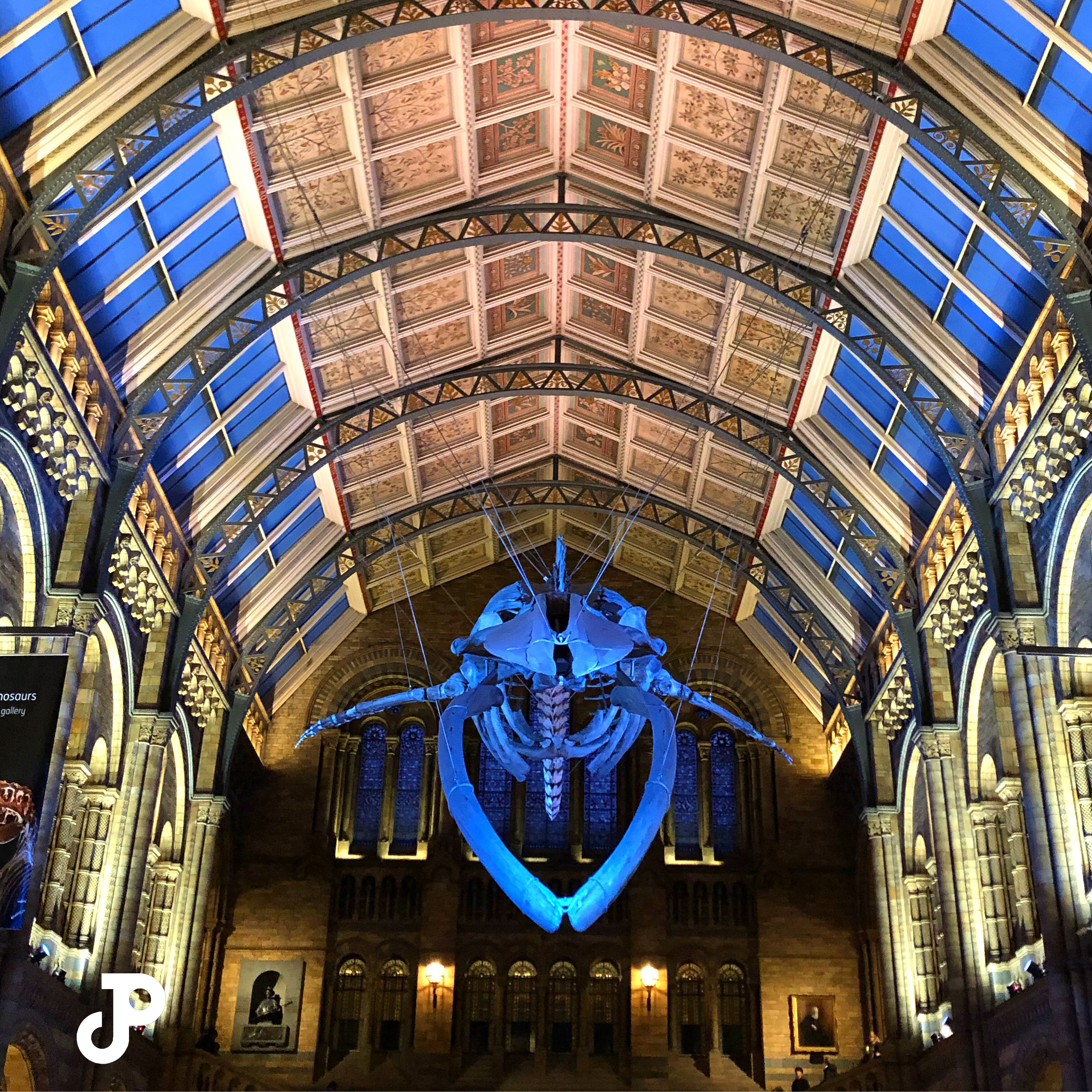 a whale skeleton suspended from the ceiling of the London Natural History Museum