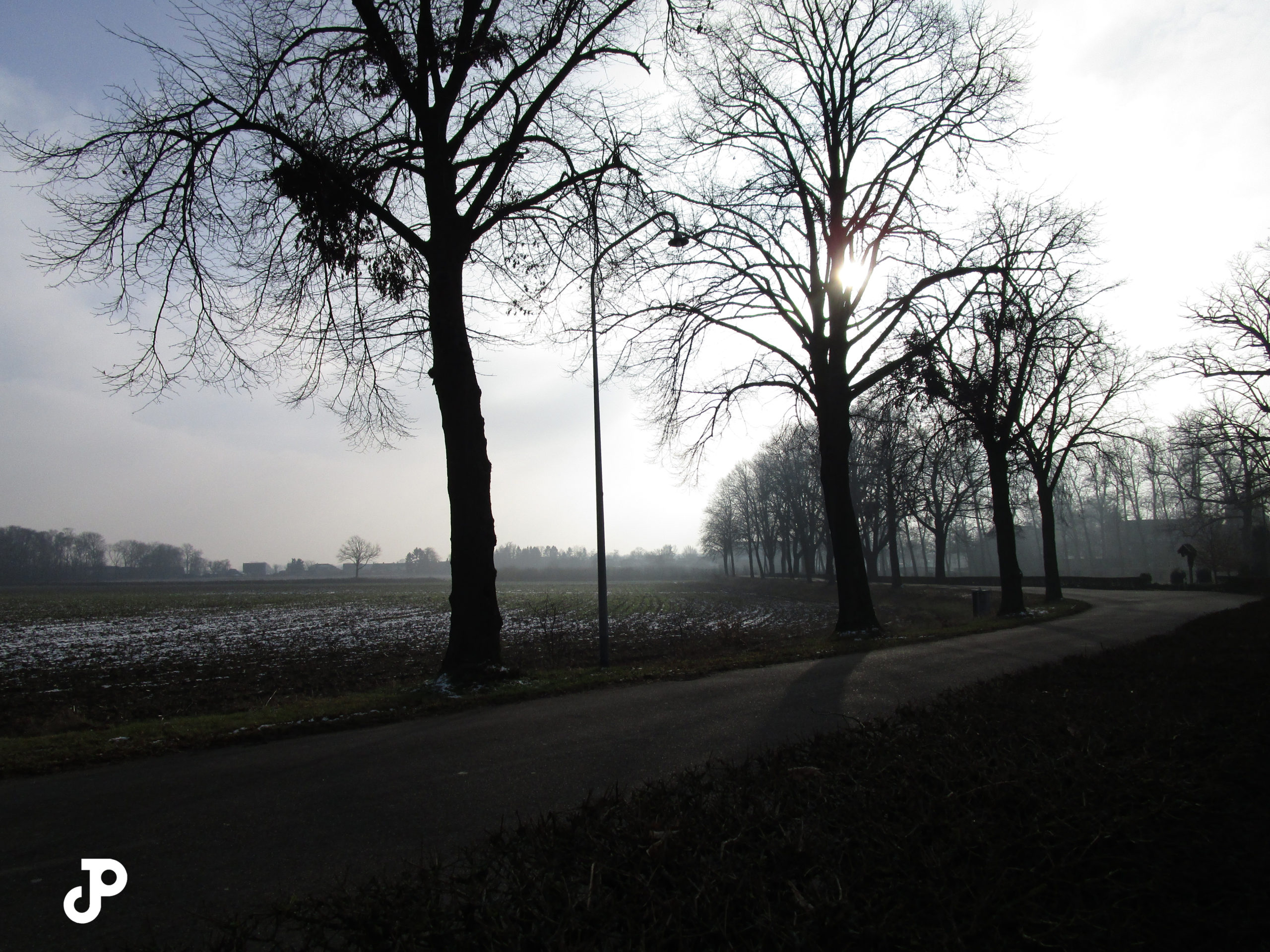 a shadowed road winding past silhouettes of trees and a foggy field in the distance