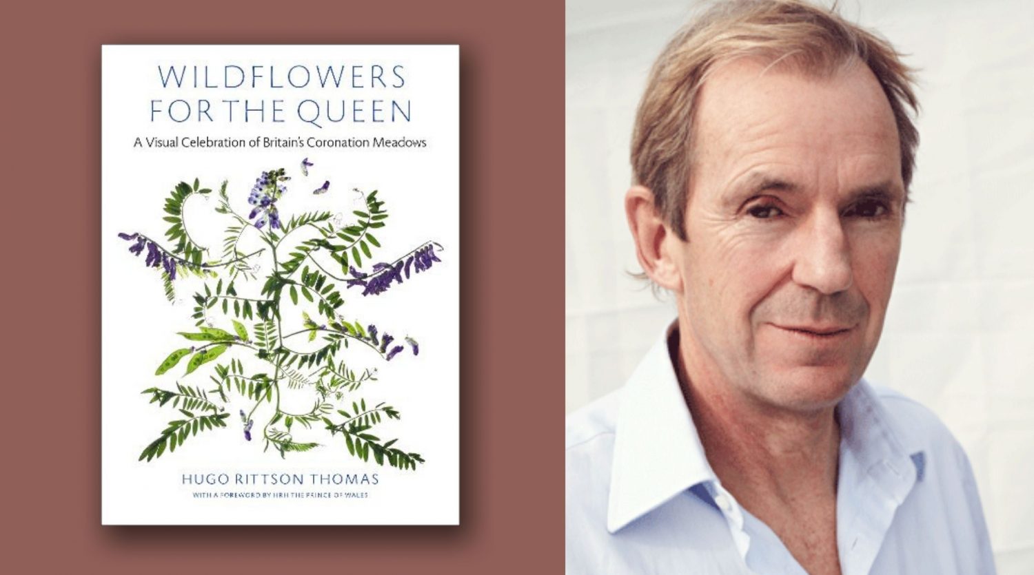 A graphic of the Wildflowers for the Queen book cover and its author Hugo Rittson Thomas